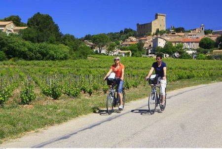 Cykelferie 8001: Provence