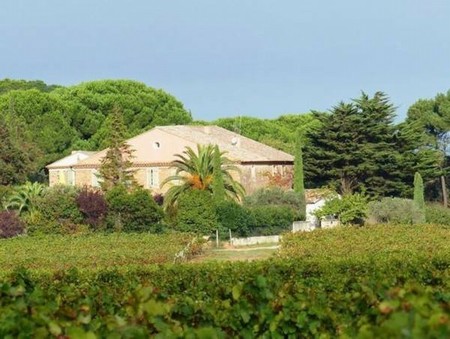Bed & Breakfast 200G900116: Bizanet