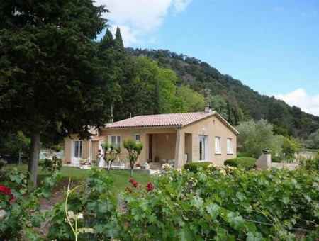 Feriehus 100G11168: Limoux