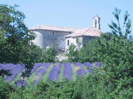 Ferie i Provence - Ardeche, Gard og Drome. Oplev duften af nyhøstet lavendel.